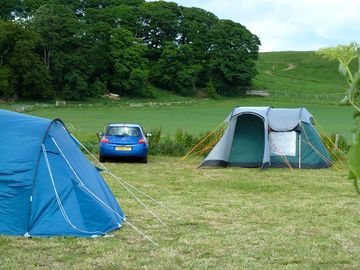 Wilderness camping. the grass site is set among trees and is a short walk from toilet and showers.