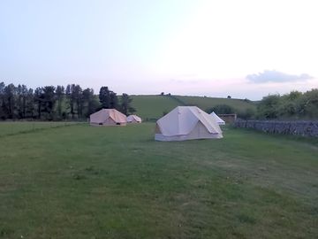 Well-spaced tents