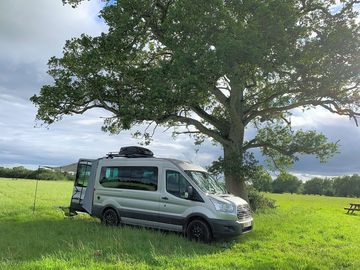 Nice spot under tree