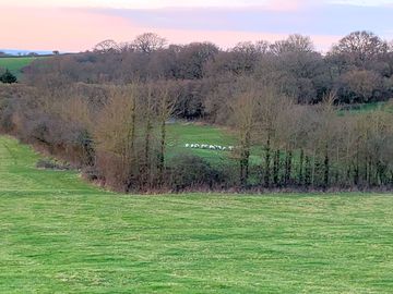 Alex's sheep leaving the campsite before guests arrive for the season