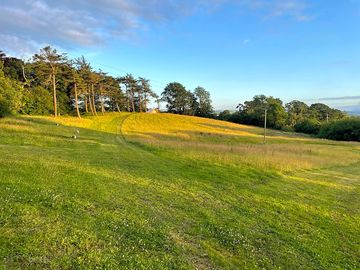 Looking across the site
