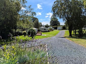 An avenue through the site