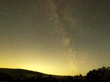 Stars