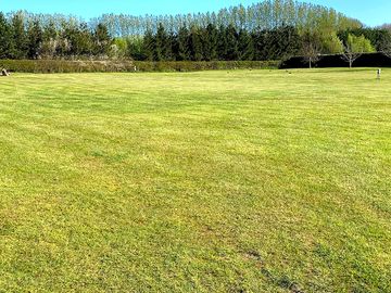 Electric and non-electric grassy pitches
