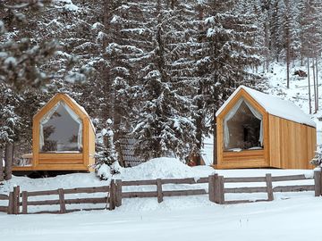 Forest Cabin