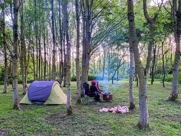 Camping in the woodland