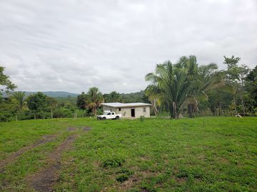 Pitches and reception area