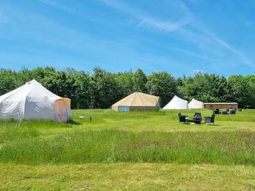 Long meadow grass and wildflowers separating the tents