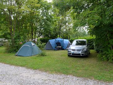 Large pitches shaded by trees