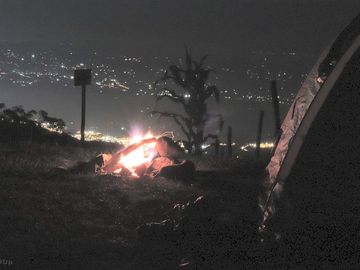 Pitches at night
