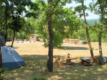 Shaded camping spot