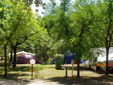 Pitches shaded by trees