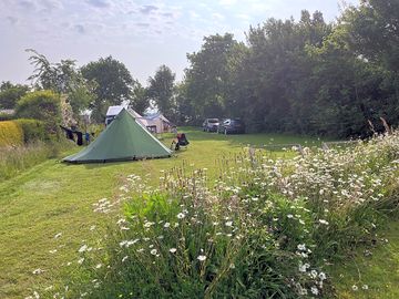 Camping field