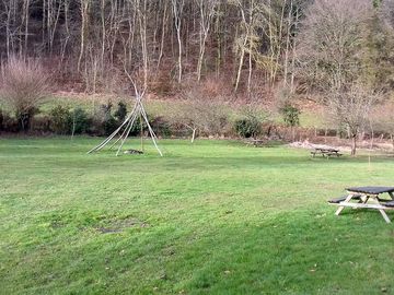 Pitches near the woods