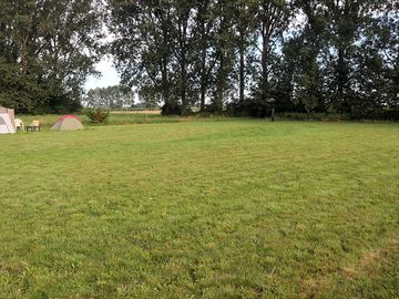 Camping meadow surrounded by trees