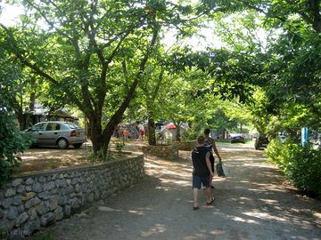 Pitches shaded by trees