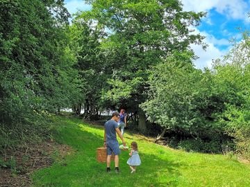Explore the small wooded area