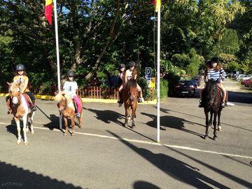 Horse and pony riding from the site