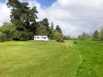 Camping field – regularly mown by vintage tractor