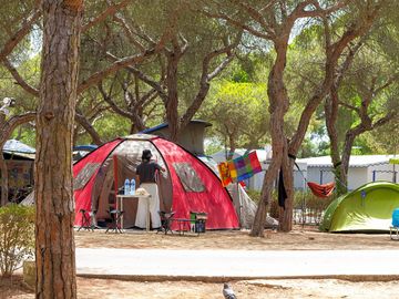 Camping area