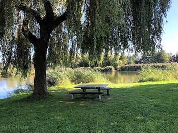 Riverside seating