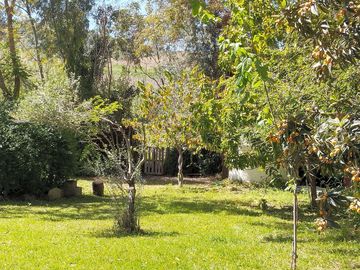 Pretty garden