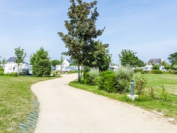 Path through the site
