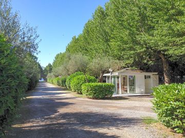 Entrance and reception