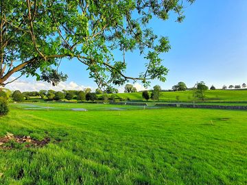 View from the dog exercise area down to the site