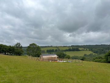 Fields surrounding the pod