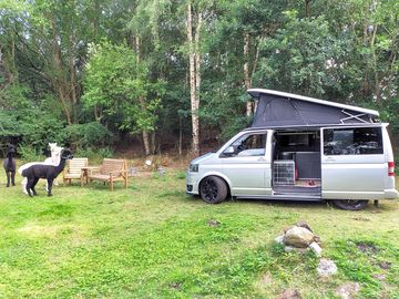 Campervan pitch