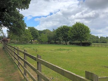 Even and well-kept ground