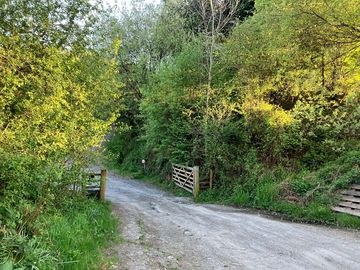 Entrance to the wild site