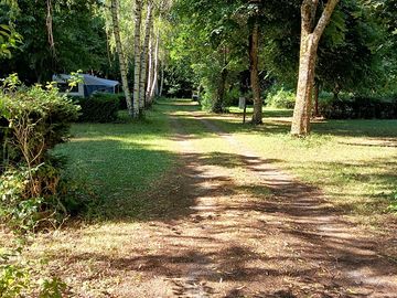 Track to the pitches