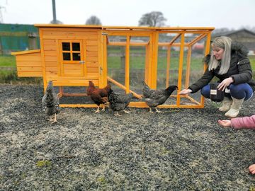 Meet pepper, cherry, ivy and lissy
