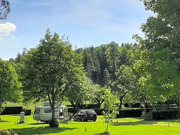 Grass pitches