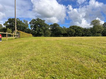 Grass pitches