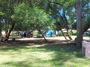 Shade over your tent