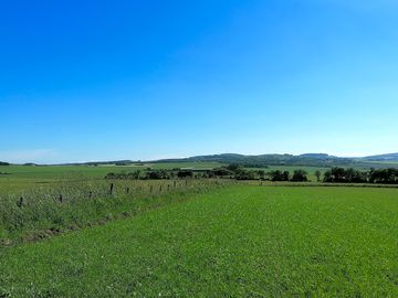 Blue skies over the fields