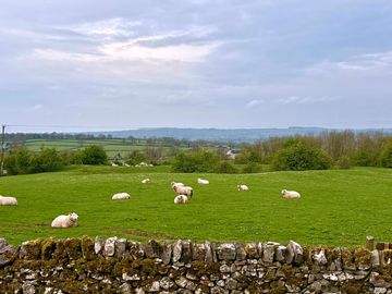 View from the wall field