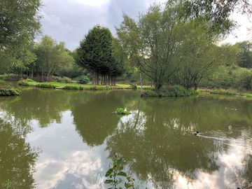 The lakes