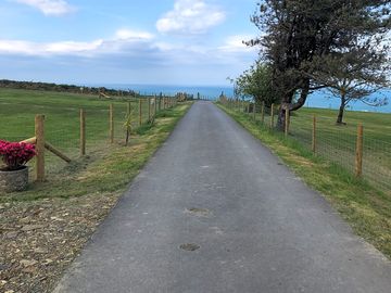 The lane at the entrance