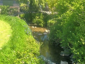 Stream
