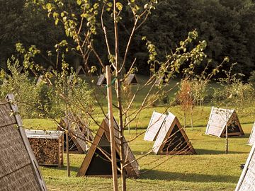 Wooden a-frame houses