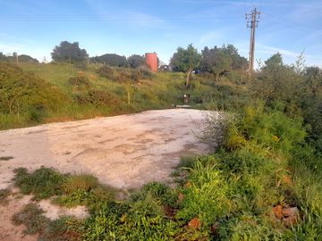 Pitches surrounded by greenery