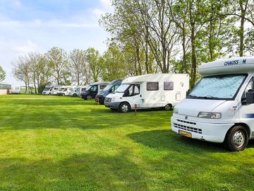 Pitches shaded by trees