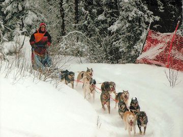 Dog sledding around the area (added by manager 22 Oct 2015)