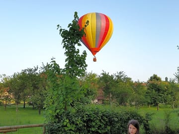 Hot air balloon flying overhead (added by manager 29 Apr 2015)