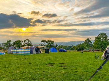 Visitor image of the site