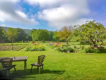 View to the Downs